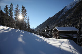 landschaft__6_